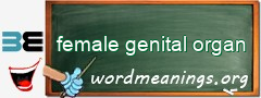 WordMeaning blackboard for female genital organ
